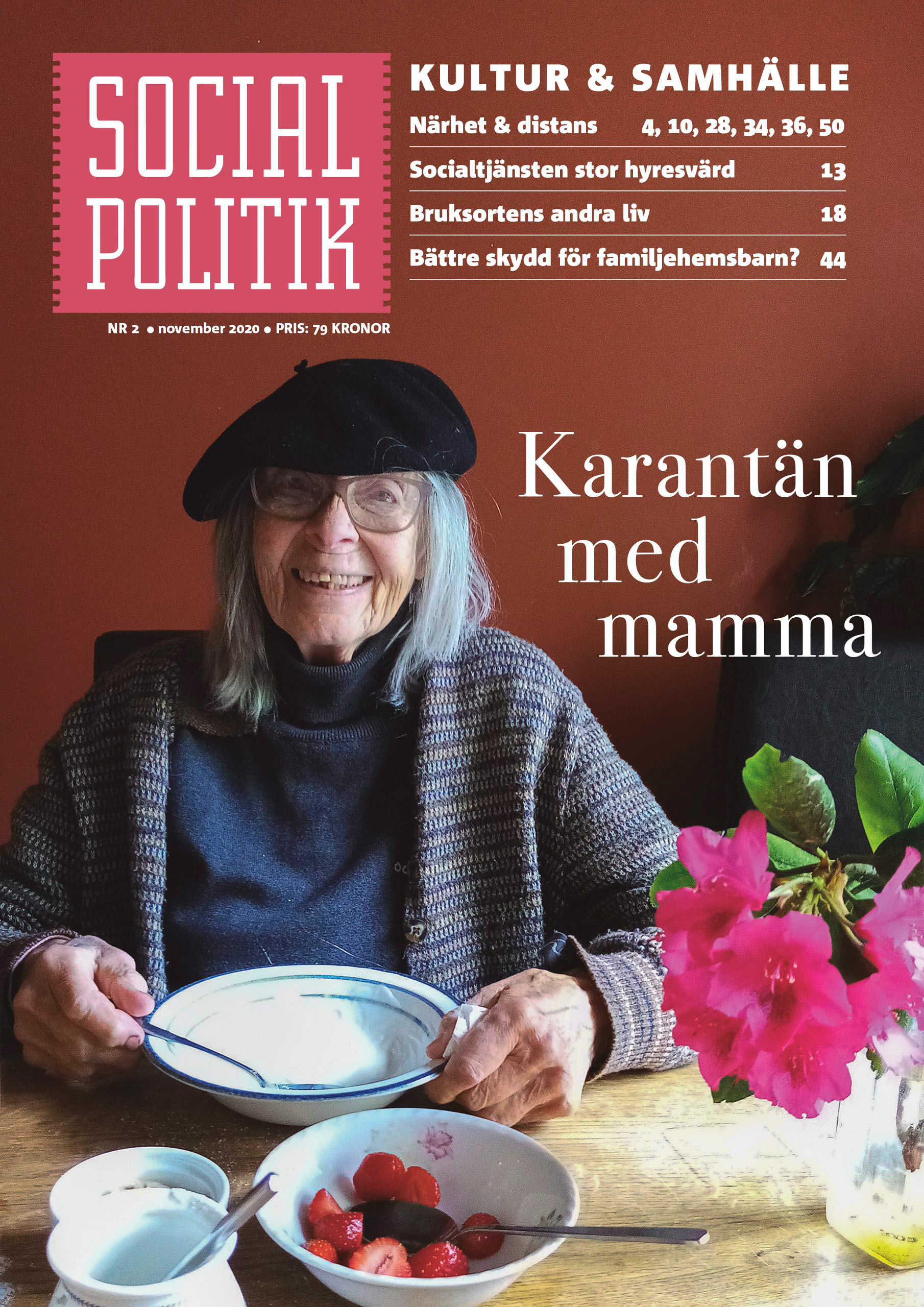 Nr 2 SocialPolitik 2020